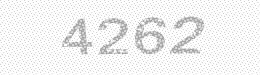 Visual security code — type the characters shown in the image