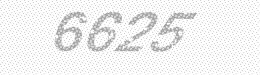 Visual security code — type the characters shown in the image